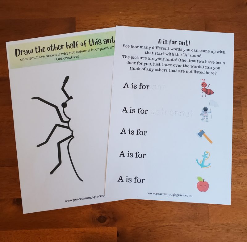 Ant drawing activity and spelling activity