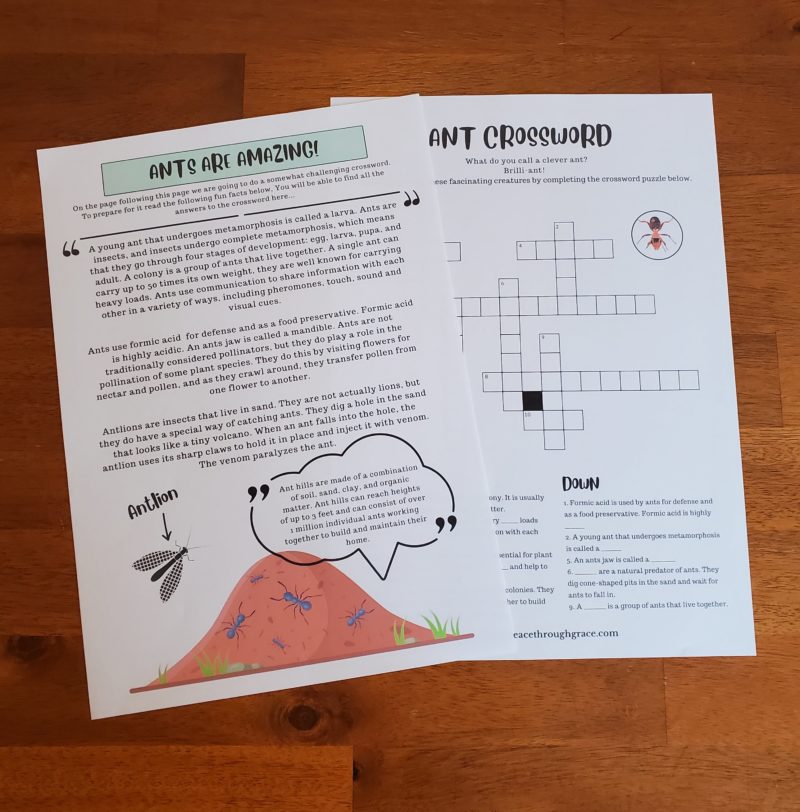 Ant crossword and Ant info to go with it