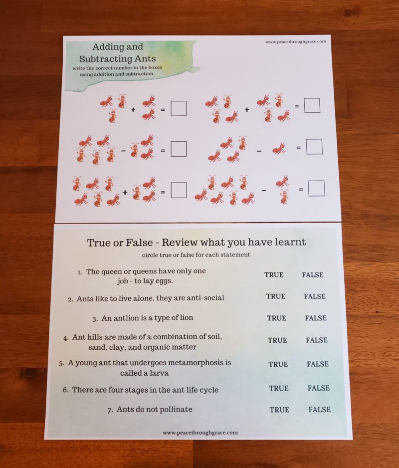 Ant addition and subtraction. True or False on Ant info you have learnt