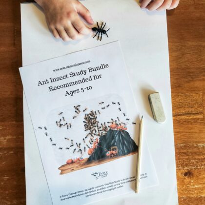 Ant Insect Study Bundle (Ages 5-10) Digital Download Printable Bundle