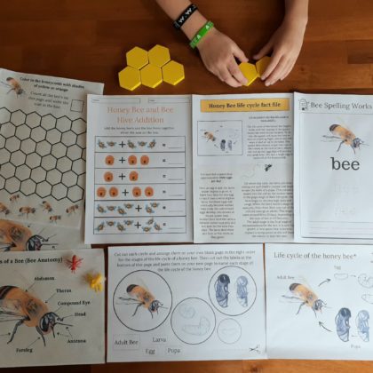 collage image of each page of the honey bee study bundle