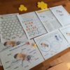 image of the pages included in the Honey Bee Anatomy Learning Study Bundle