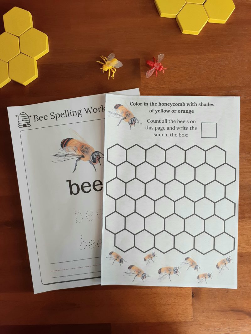Honey Bee Insect Study Bundle (Ages 5-10) Digital Download Printable Bundle - Image 4