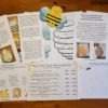 More pages included in the honey bee study