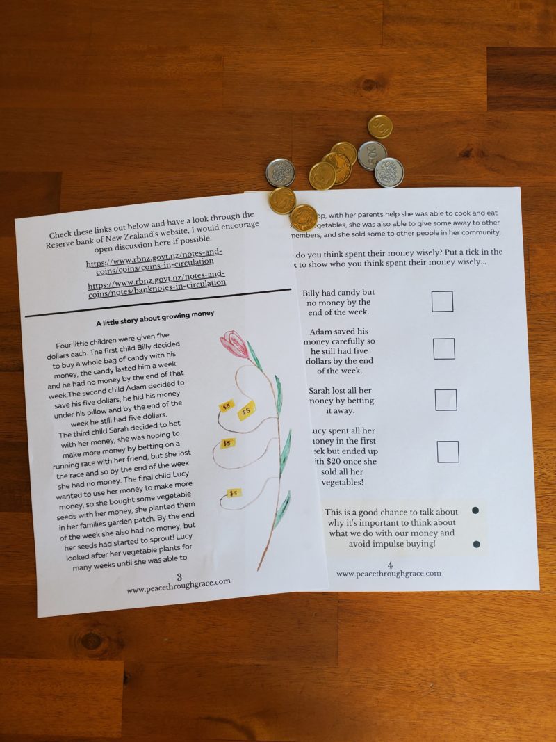 New Zealand Money Unit Study Bundle (Ages 5-10) Digital Download Printable Bundle - Image 3