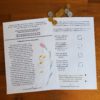 New Zealand Money Unit Study Bundle (Ages 5-10) Digital Download Printable Bundle - Image 3