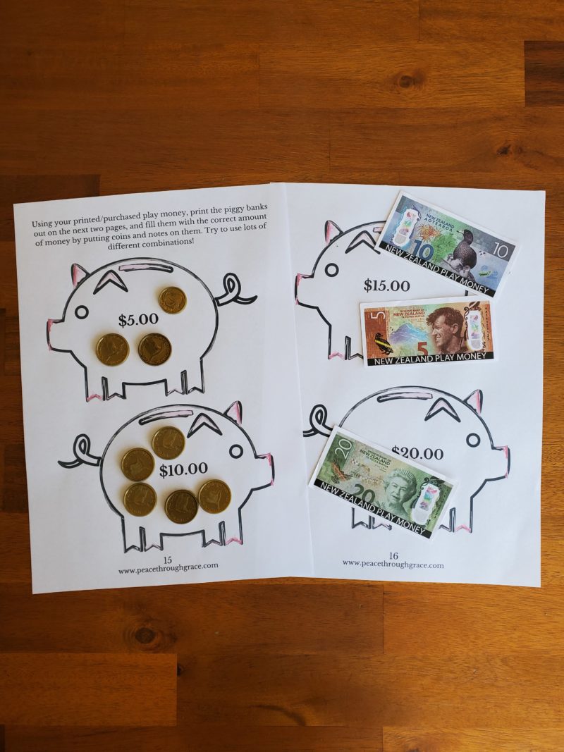 New Zealand Money Unit Study Bundle (Ages 5-10) Digital Download Printable Bundle - Image 10