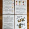 more fun nz money games