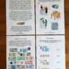 build your own bank fun nz money games