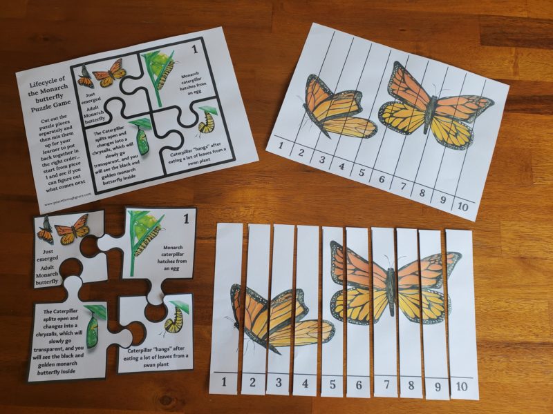 Monarch Butterfly Puzzle matching and counting activities