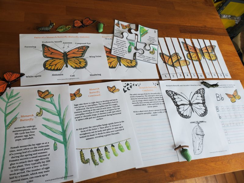 Overview of all ten pages included in the Monarch Butterfly unit study bundle