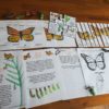 Overview of all ten pages included in the Monarch Butterfly unit study bundle