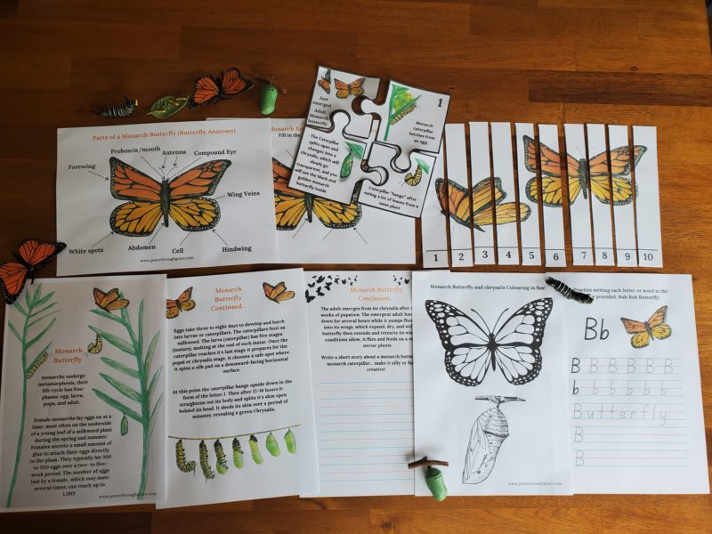 Shows pages included in the Monarch Butterfly unit study