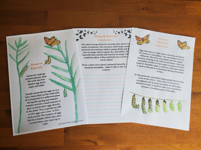 Read and write about the Monarch Butterfly