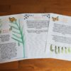 Read and write about the Monarch Butterfly