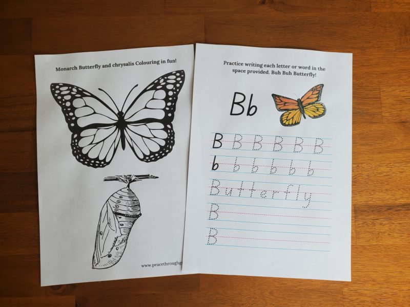 Monarch Butterfly themed Spelling and colouring fun