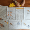Display of part of the 18 Honey Bee Unit Study Printed out