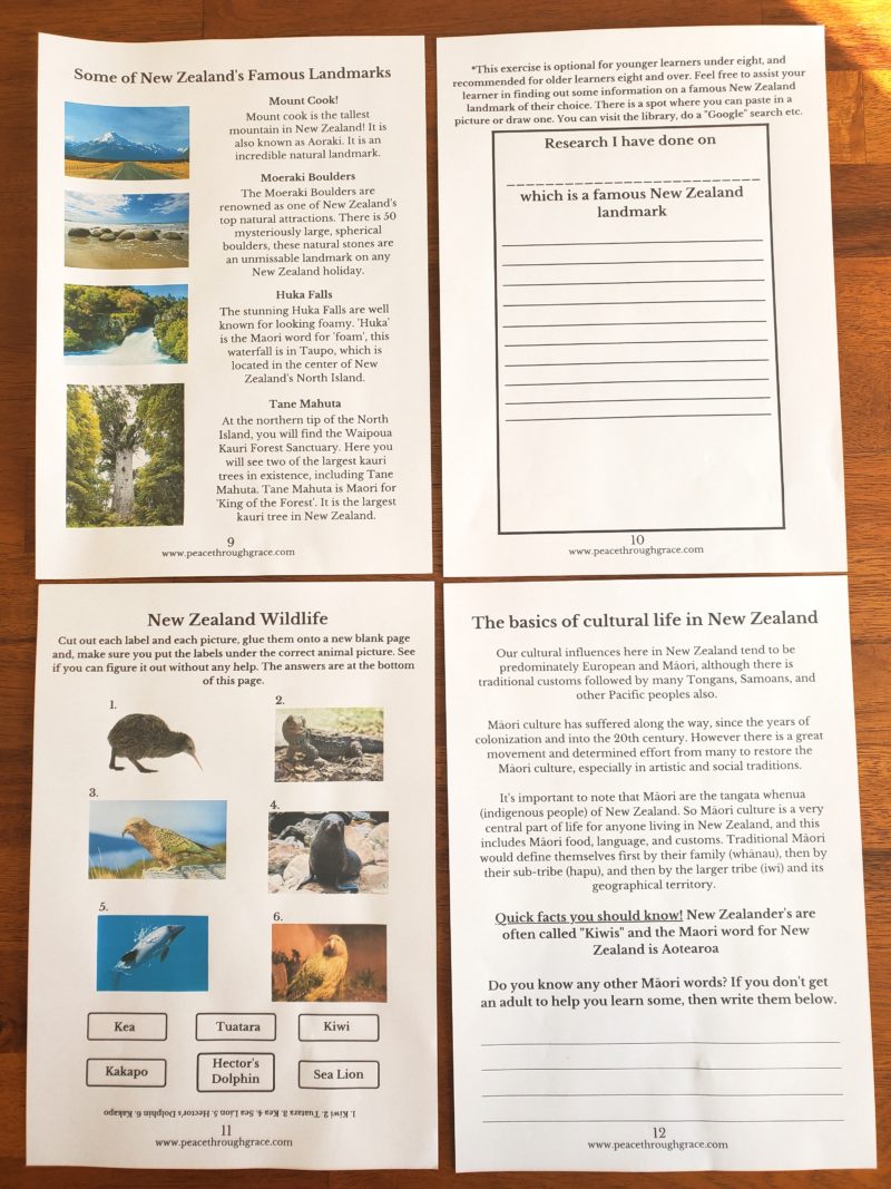 New Zealand Junior Geography (Ages 6-12) Digital Download Printable Bundle - Image 4