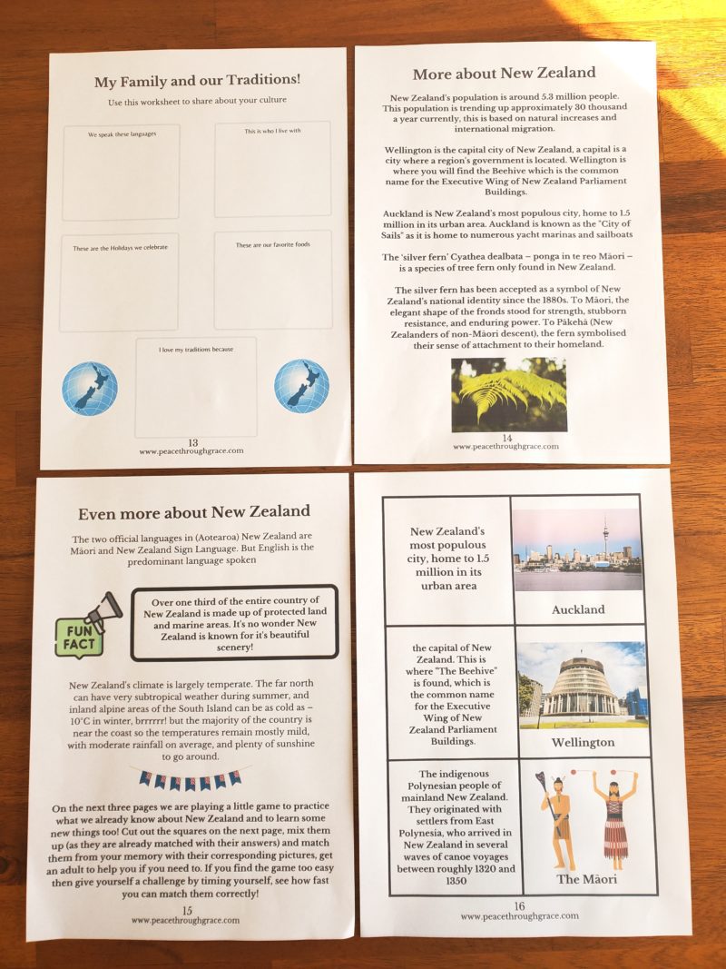 New Zealand Junior Geography (Ages 6-12) Digital Download Printable Bundle - Image 5