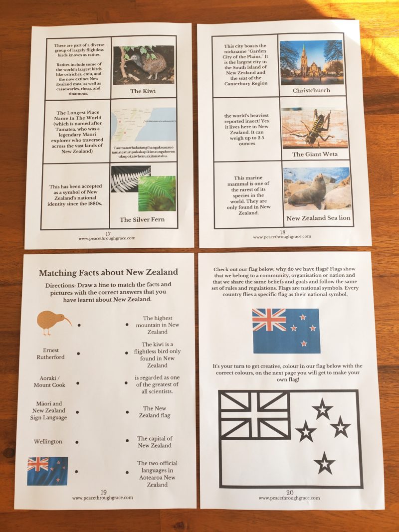 New Zealand Junior Geography (Ages 6-12) Digital Download Printable Bundle - Image 6