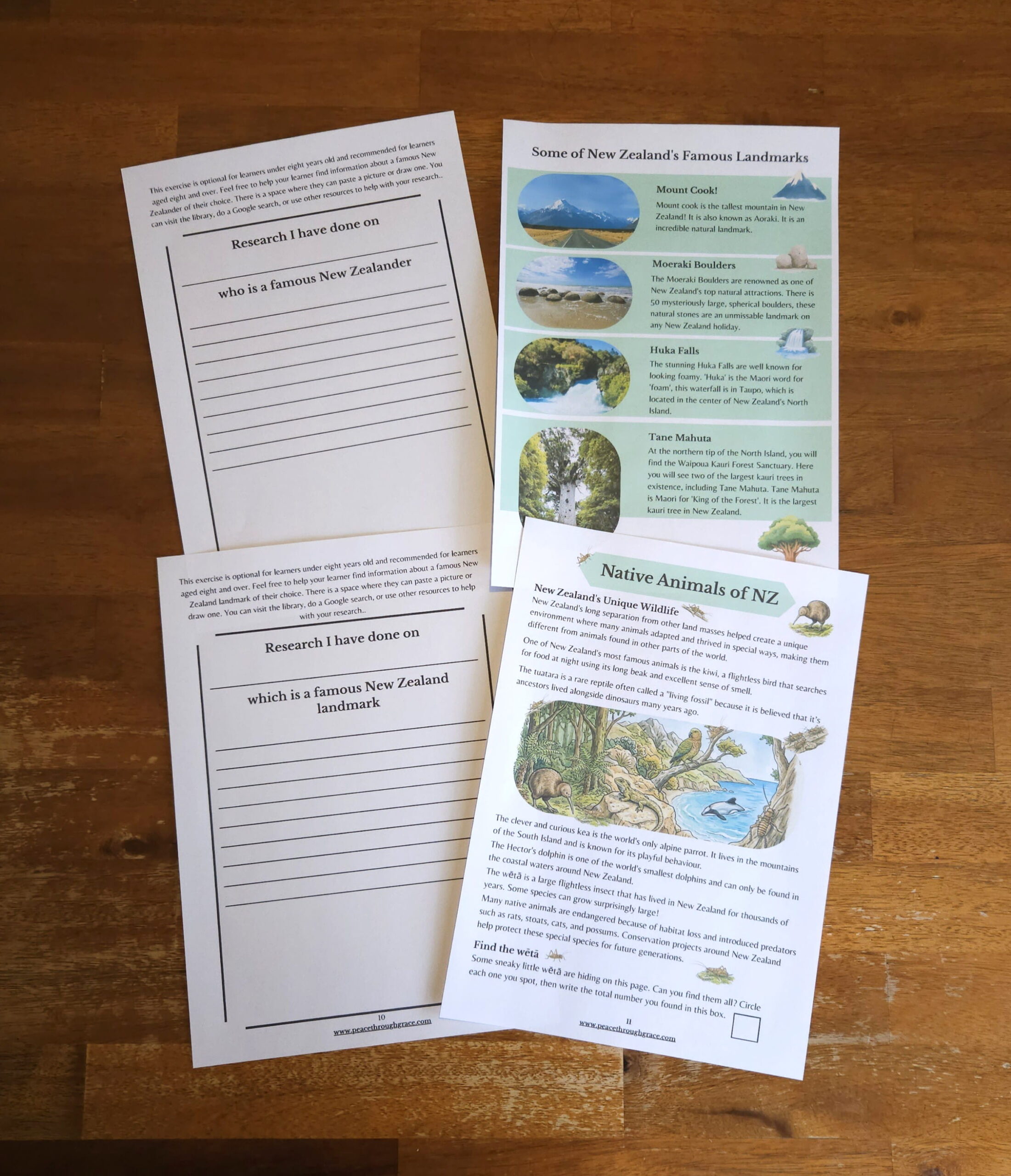 Pages 8-11 in the New Zealand Junior Geography Unit Study