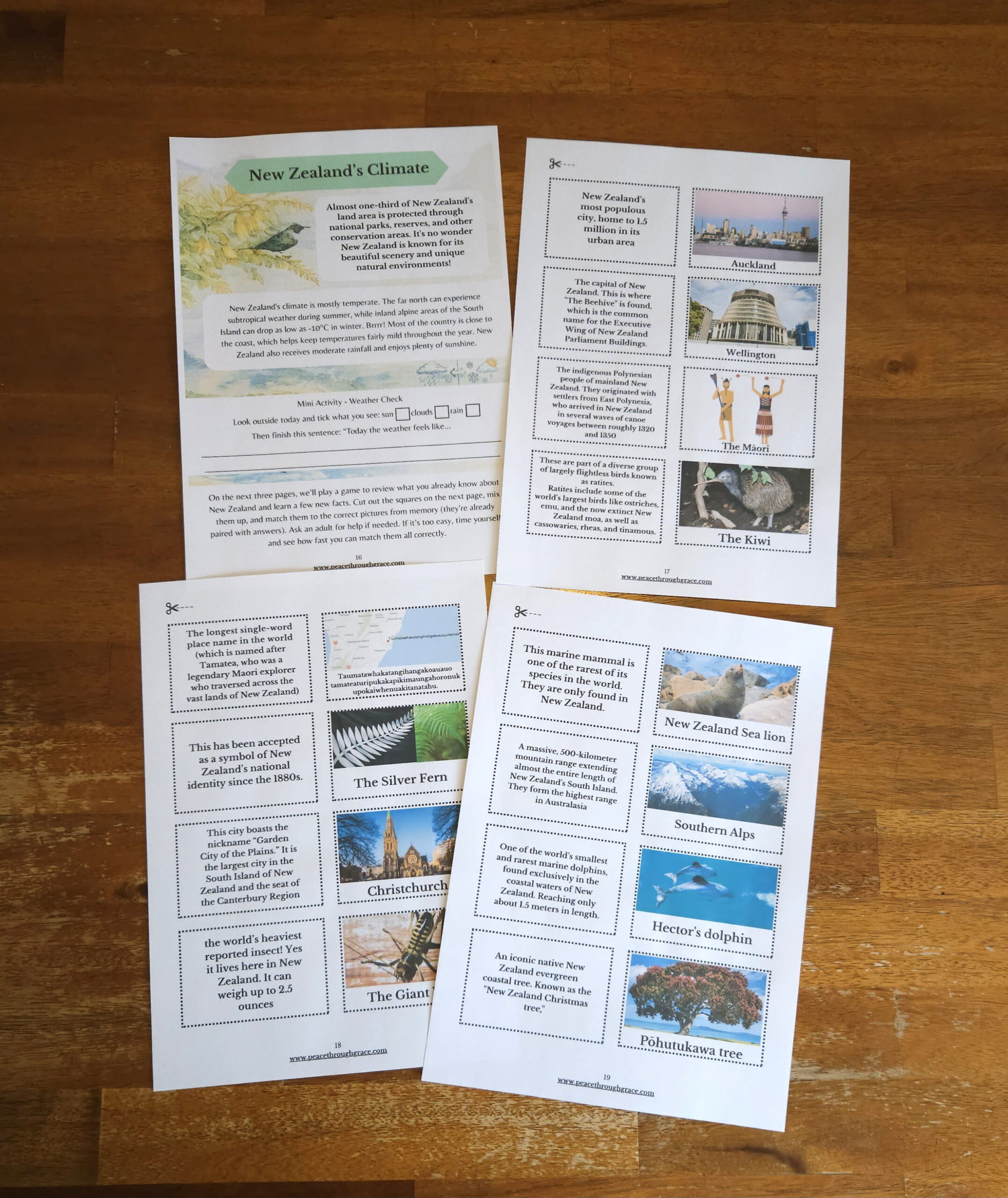 Pages 16-19 in the New Zealand Junior Geography Unit Study