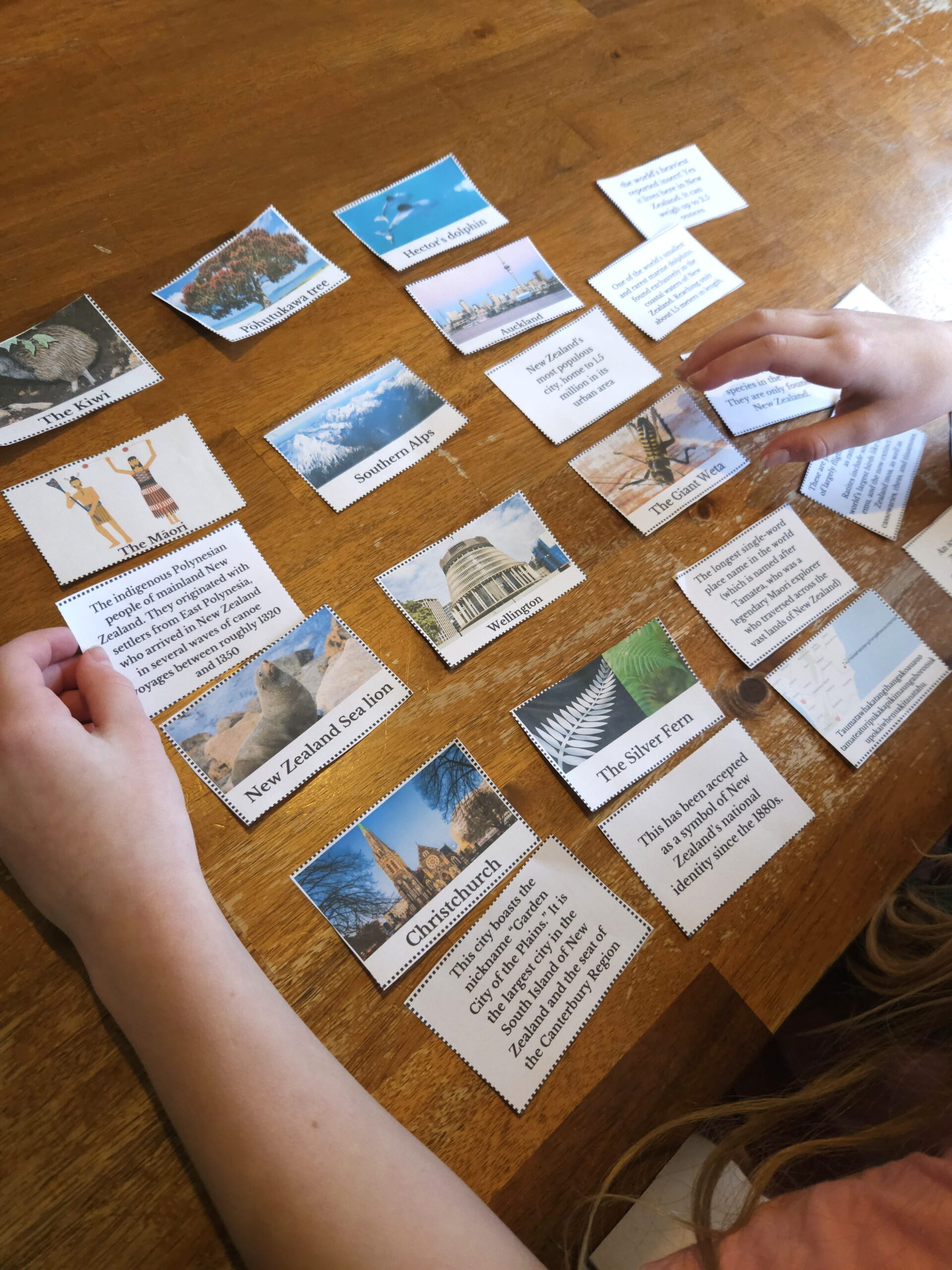 New Zealand Junior Geography (Ages 6-12) Unit Study Printable Bundle - Image 17
