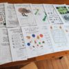Another angle of the printable unit study bundle on the New Zealand Kiwi Bird