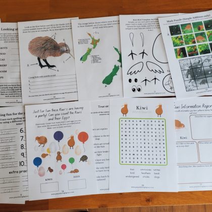shows all the pages in the New Zealand Kiwi bird unit study bundle