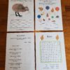 page 13-16 of the NZ Kiwi Bird Unit Study Bundle
