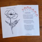 colour in this poppy and read the poem pages 7 and 8 of the Free anzac study bundle