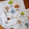 Seasons Spinner Wheels Southern Hemisphere
