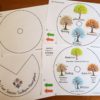 Seasons Spinner Wheels Southern Hemisphere NZ