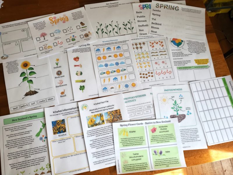 Collage photo of the New Zealand Spring Unit Study Bundle