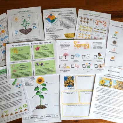 Some pages in the New Zealand Spring Unit Study Bundle