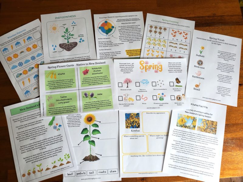 Some pages in the New Zealand Spring Unit Study Bundle
