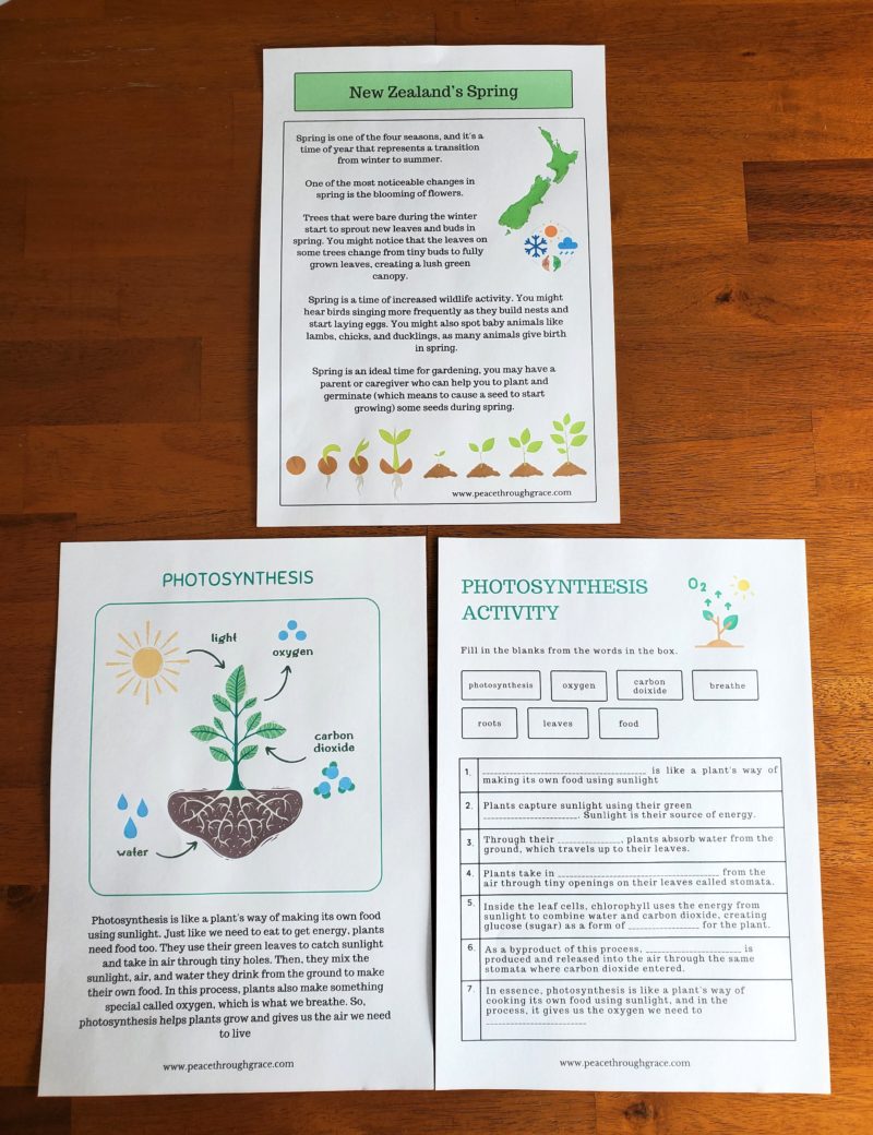 NZ Spring info sheet, Photosynthesis info and activity