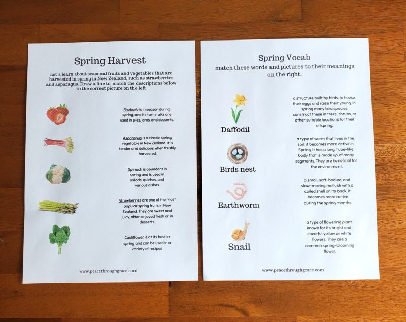Spring Vocab and Spring Harvest matching worksheets