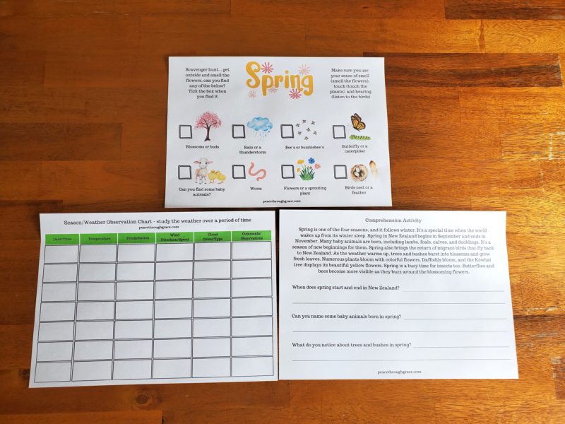 Spring Scavenger hunt, Season/Weather observation chart, comprehension activity