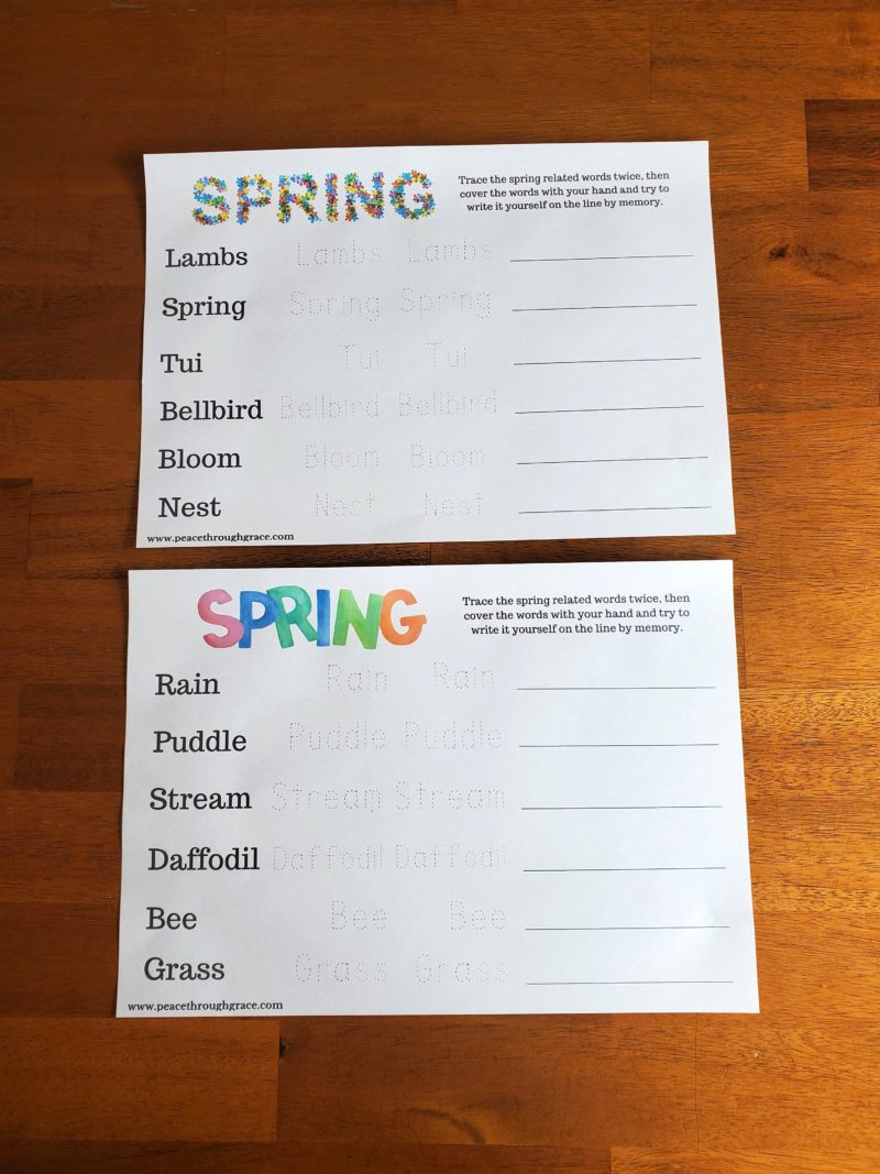 Spring spelling/writing activities