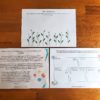 Get creative! drawing/painting activity, 5 senses activity, what is a season? info sheet
