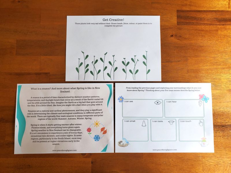 Get creative! drawing/painting activity, 5 senses activity, what is a season? info sheet
