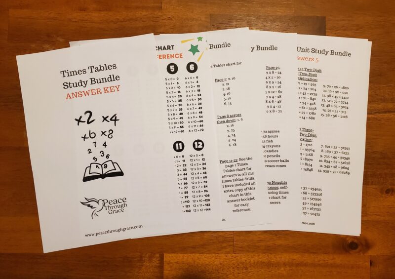 Multiplication Study Bundle (Ages 7+) Digital Download Printable - Image 10