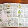 Backpack size identification cards of common foraging plants in New Zealand