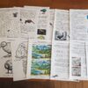 all of the images in the unit study bundle - nz fauna wildlife