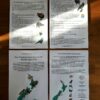 front page of the nz fauna study with pages 1-3 included