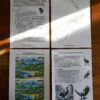pages 12-15 of the new zealand fauna unit study