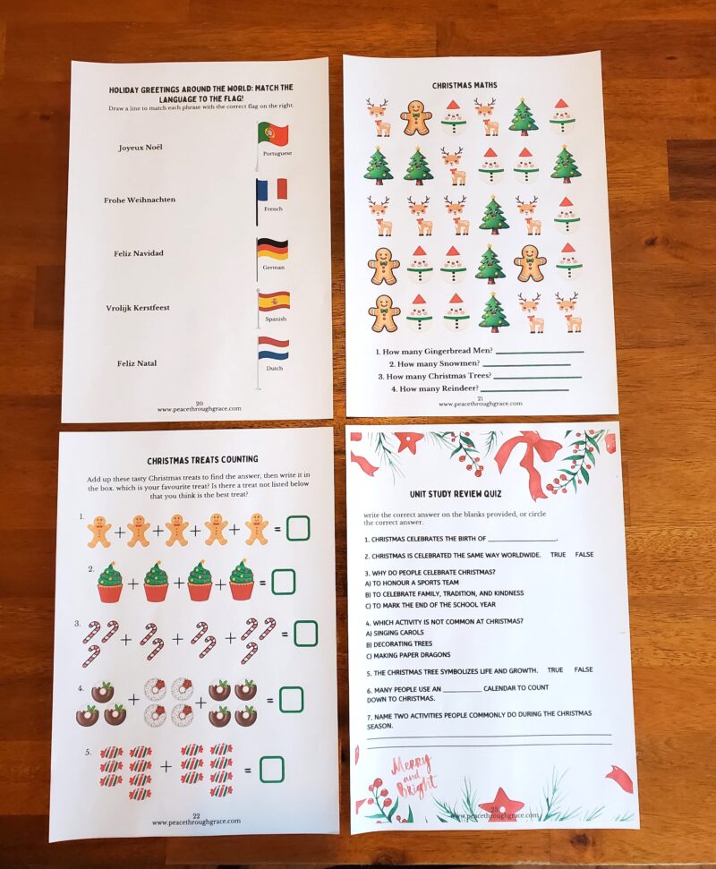 pages 20-23 of the Christmas in NZ & Beyond Unit Study Bundle