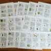 Pocket size bug identification cards