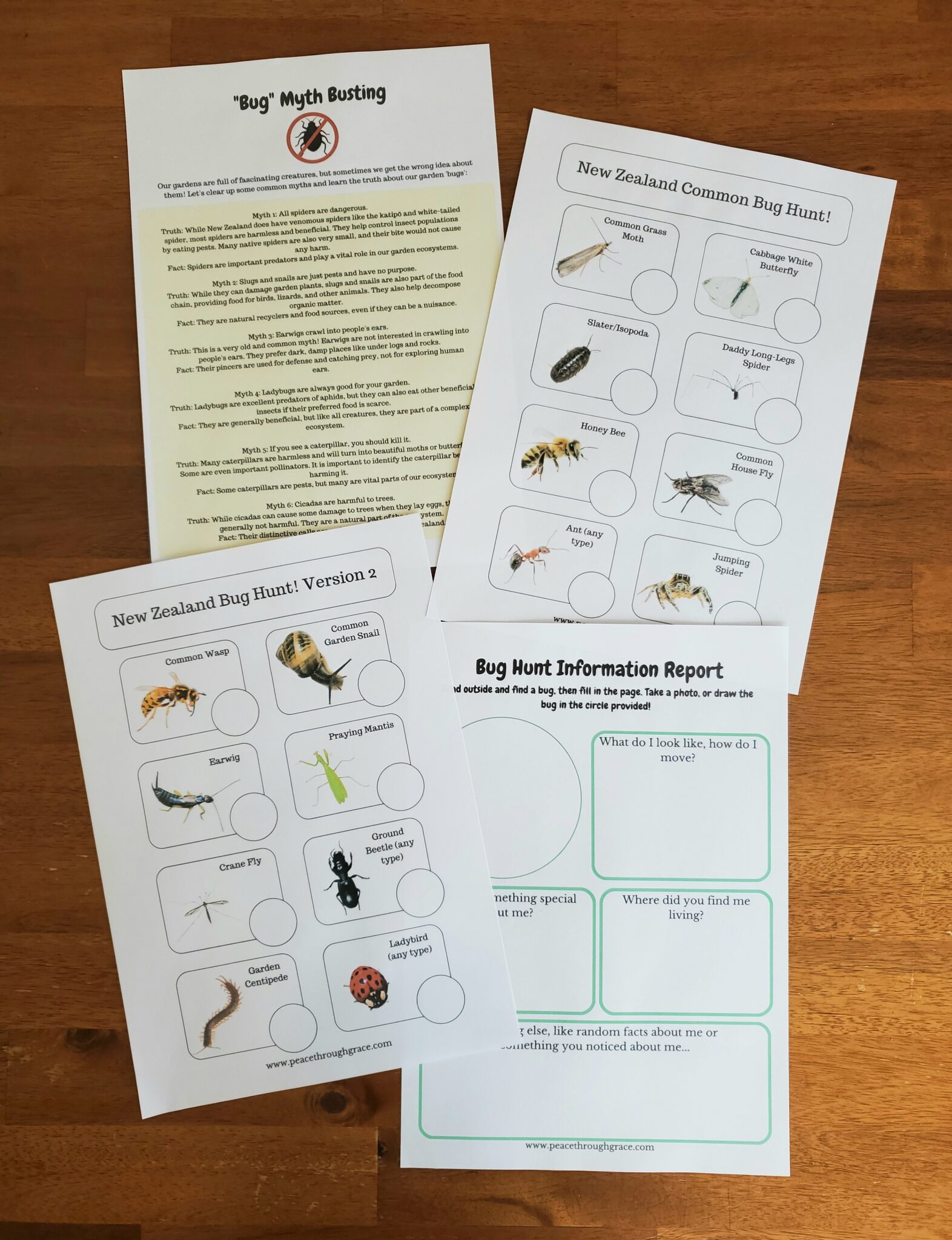 New Zealand Bug Guide and Identification Cards - Downloadable Printable ...
